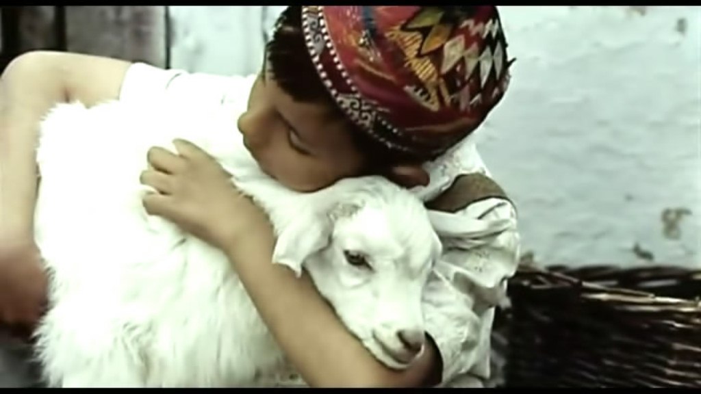 《给斯大林的礼物》海报第22张图片