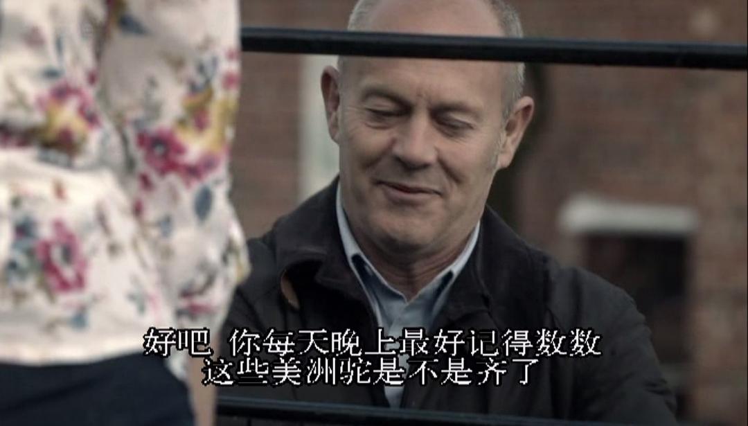 《尸研所》海报第33张图片