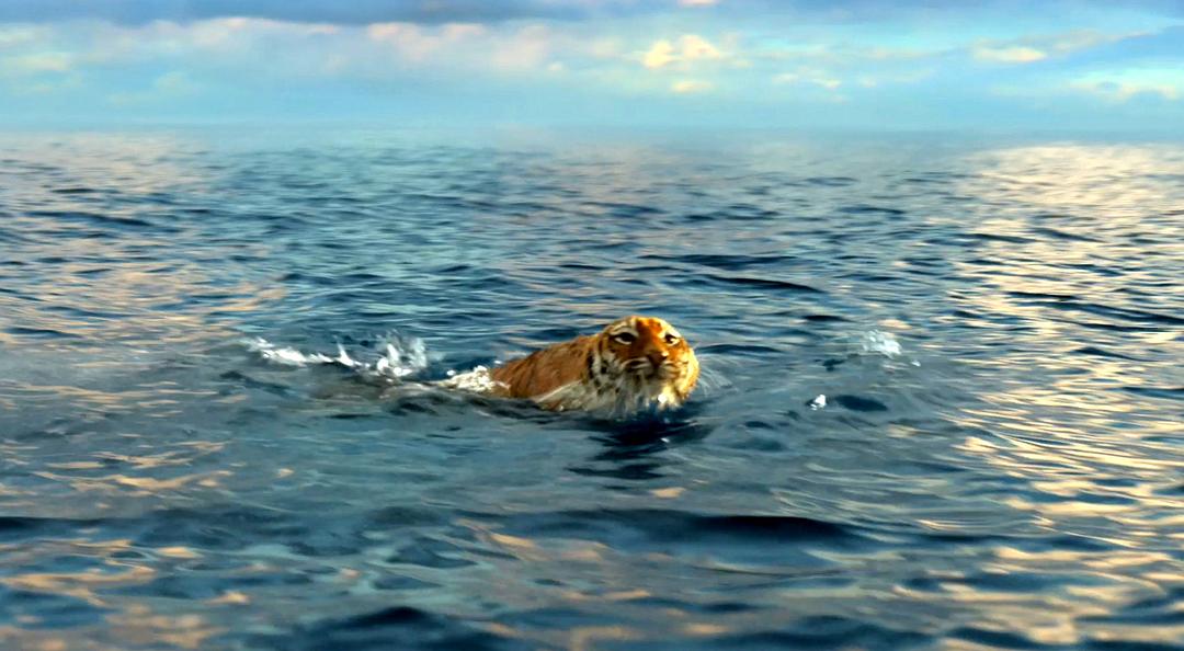 《少年派的奇幻漂流》海报第13张图片