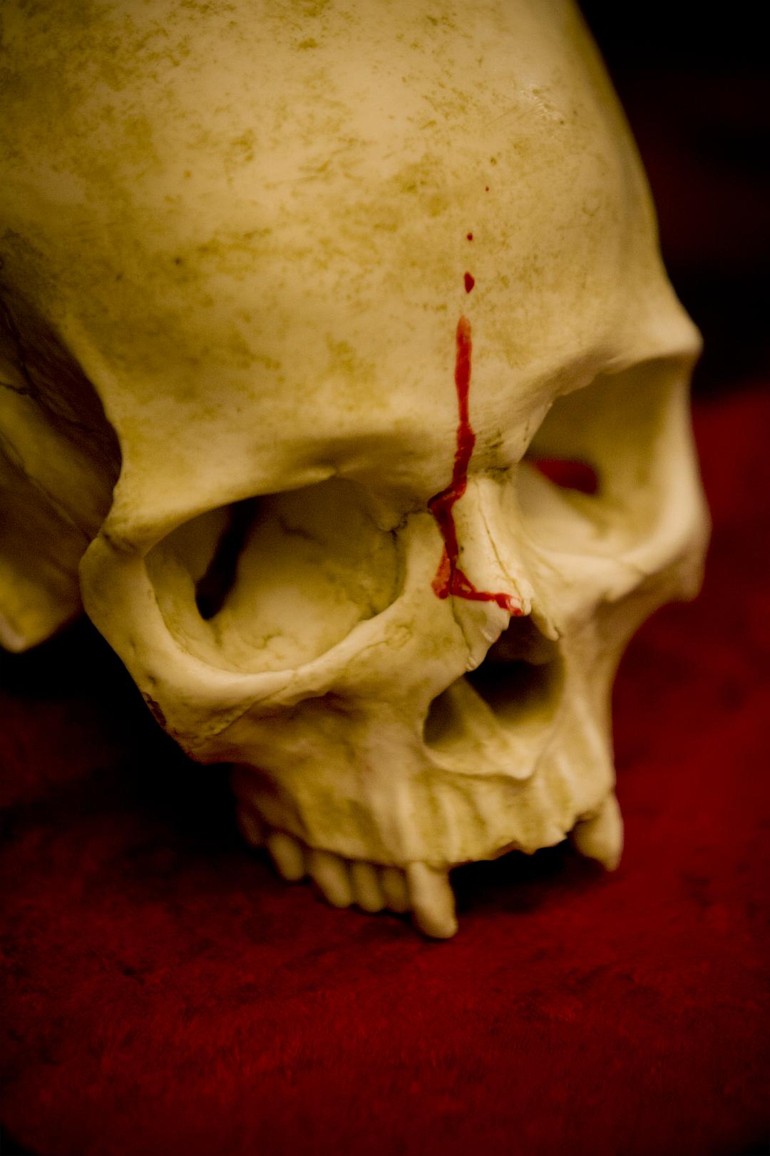 《被解救的姜戈》剧照第14张图片