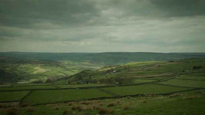 《哈利法克斯最后的探戈第一季》海报第15张图片