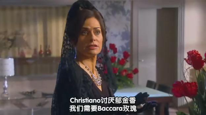 《巴比伦饭店第四季》海报第8张图片