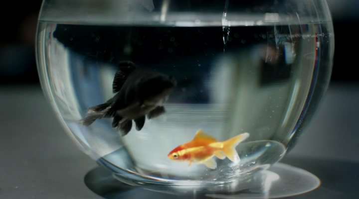 《陈尸谜案》剧照第49张图片 《陈尸谜案》剧照第49张图片