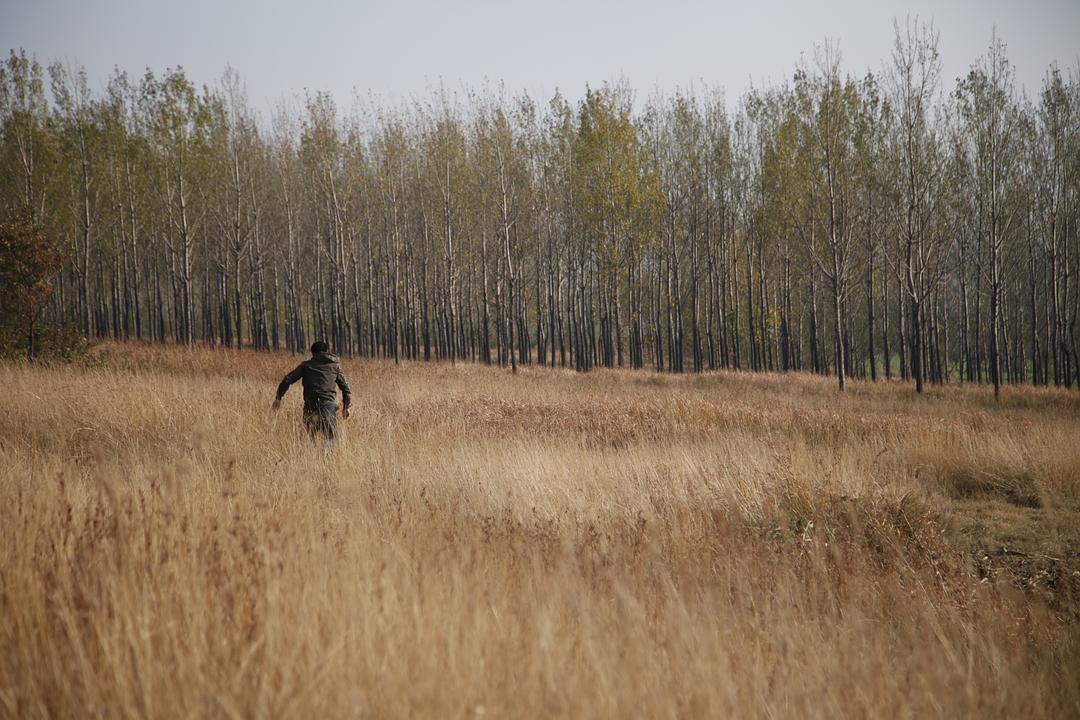 《心迷宫》海报