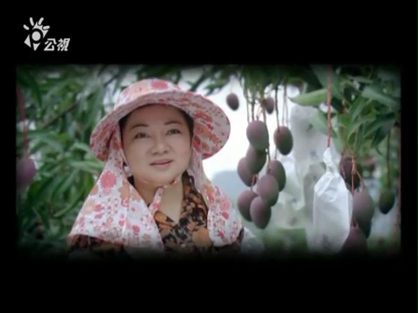 《那天妈妈来看我》海报第2张图片