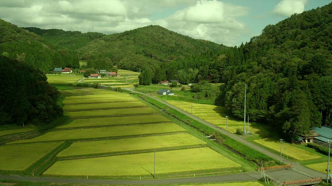 《小森林夏秋篇》海报第43张图片