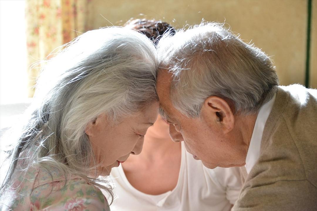 《0.5毫米》海报第4张图片