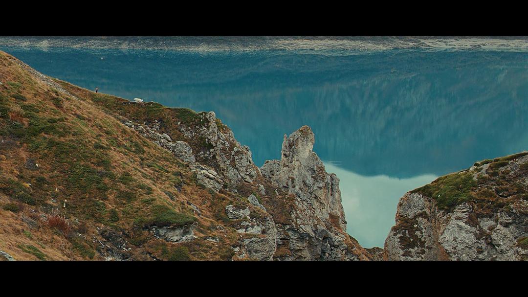 《灵犬雪莉》剧照第43张图片