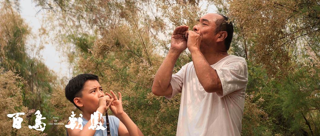 《百鸟朝凤》海报第58张图片
