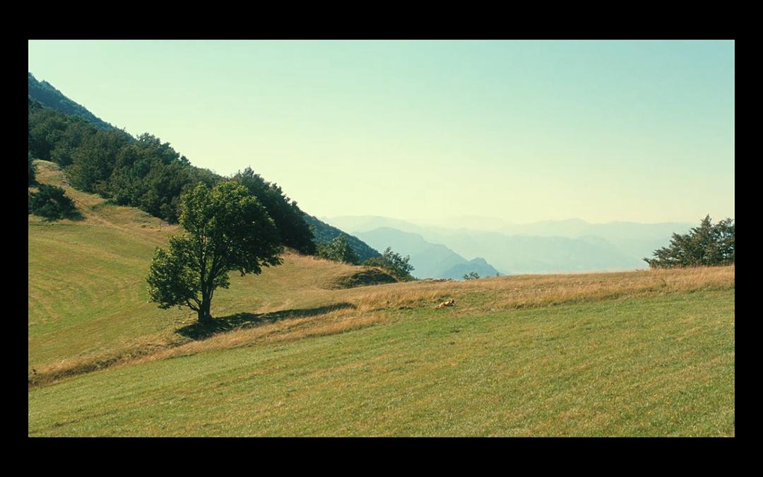 《将来的事》剧照第53张图片