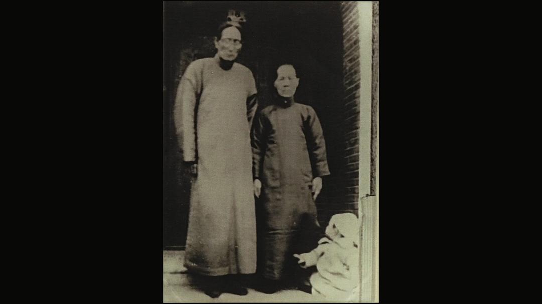 《他们在岛屿写作：读中文系的人》剧照第13张图片