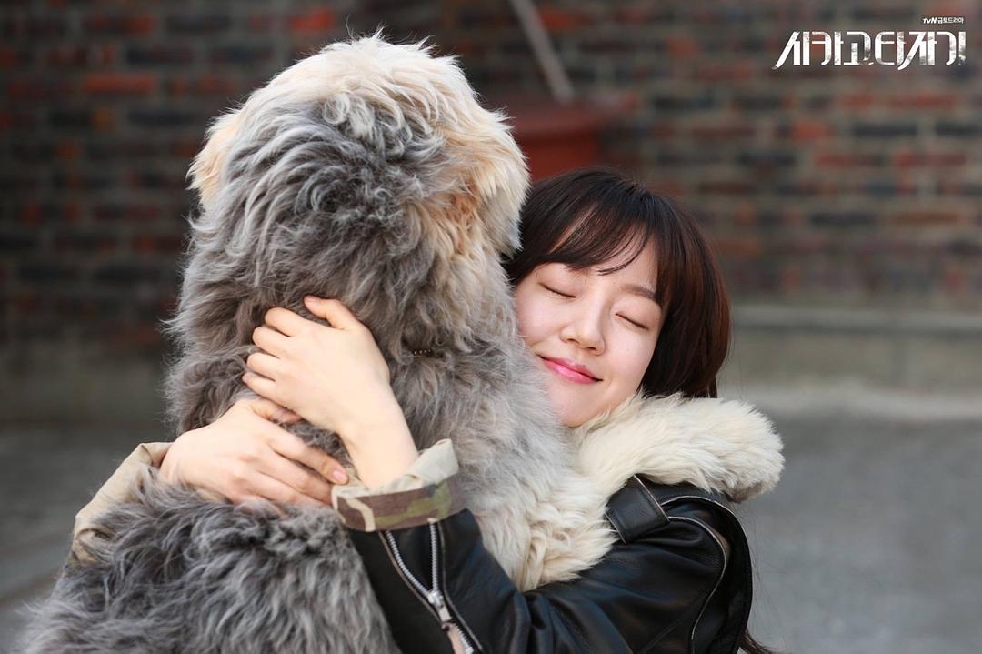 《芝加哥打字机》海报第19张图片