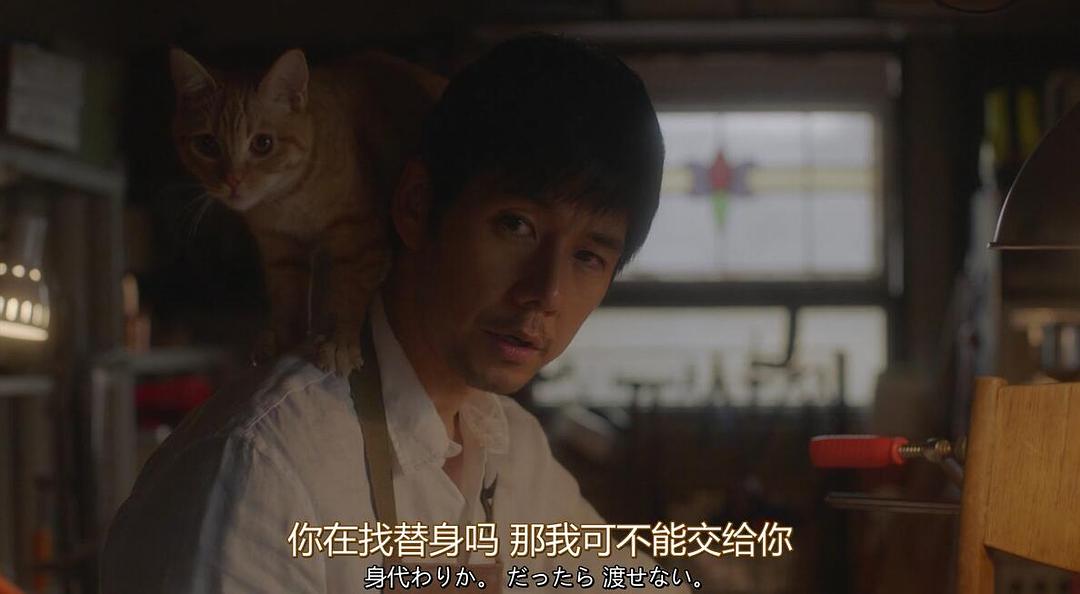 《毛毯猫》海报第57张图片
