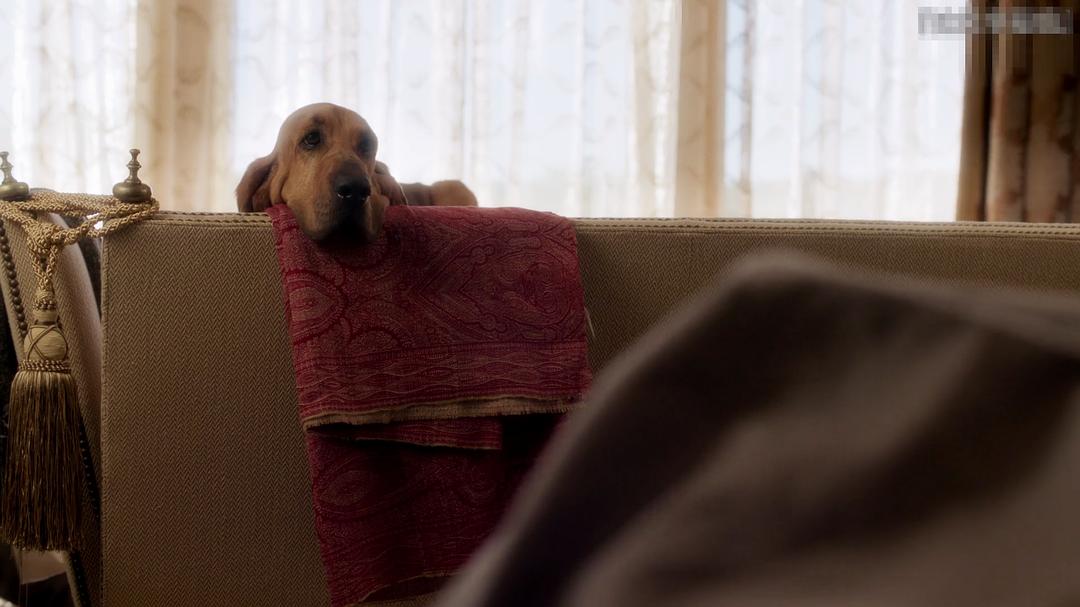 《豪门恩怨第一季》剧照