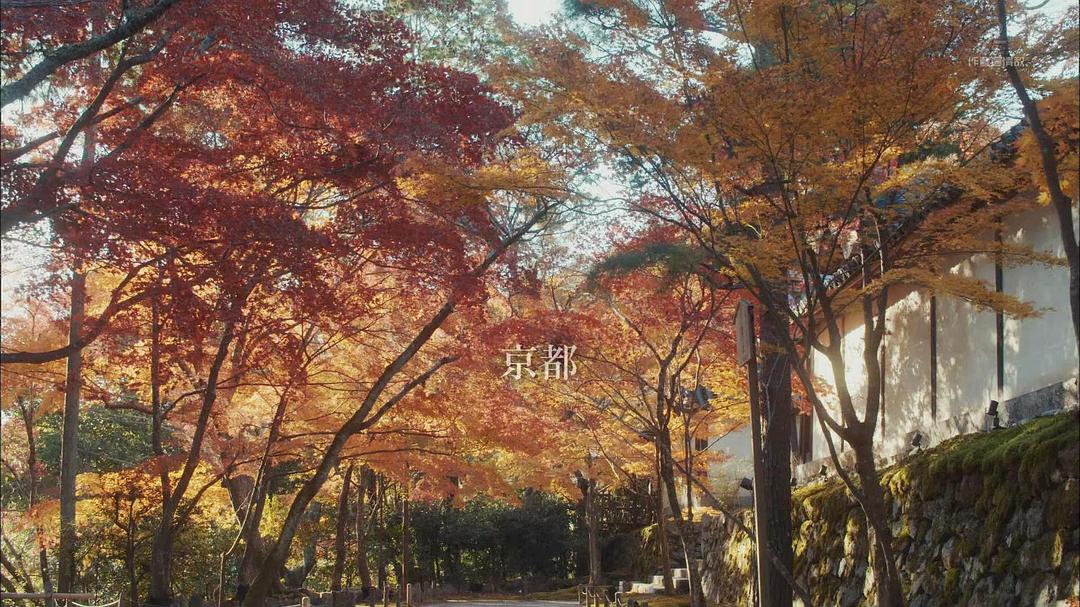 《平成细雪》剧照