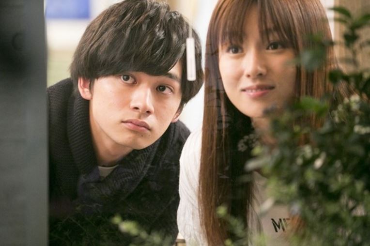 《总觉得邻家更幸福》海报第26张图片