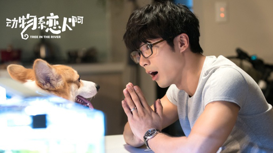 《动物系恋人啊》剧照