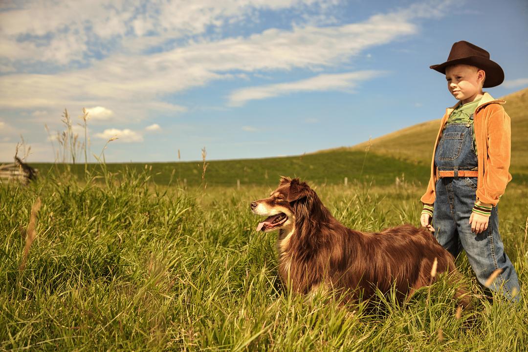 《少年斯派维的奇异旅行》海报第16张图片