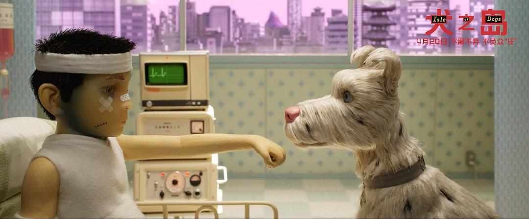 《犬之岛》剧照第11张图片