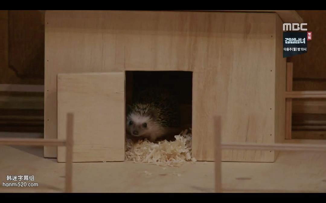 《疯了，因为你！》海报第35张图片