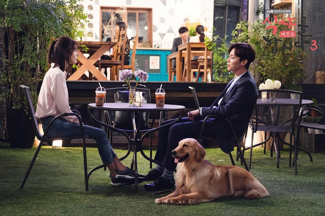 《一起用餐吧3》海报第20张图片