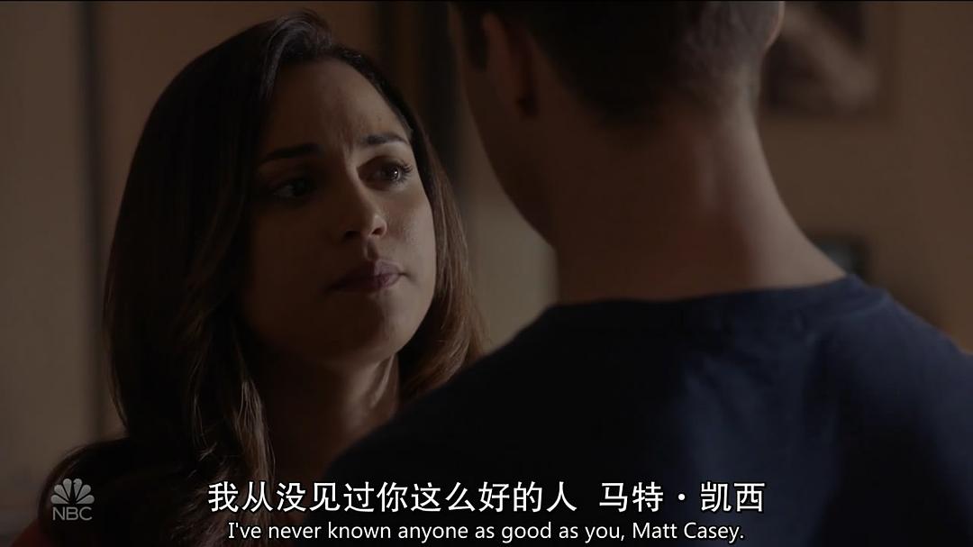 《芝加哥烈焰第七季》海报第38张图片