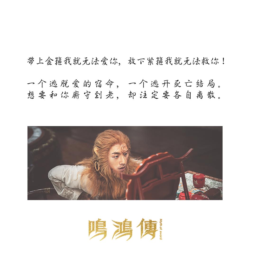 《鸣鸿传》海报第22张图片