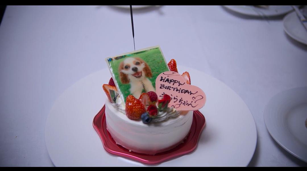 《爱犬情深第一季》剧照第33张图片