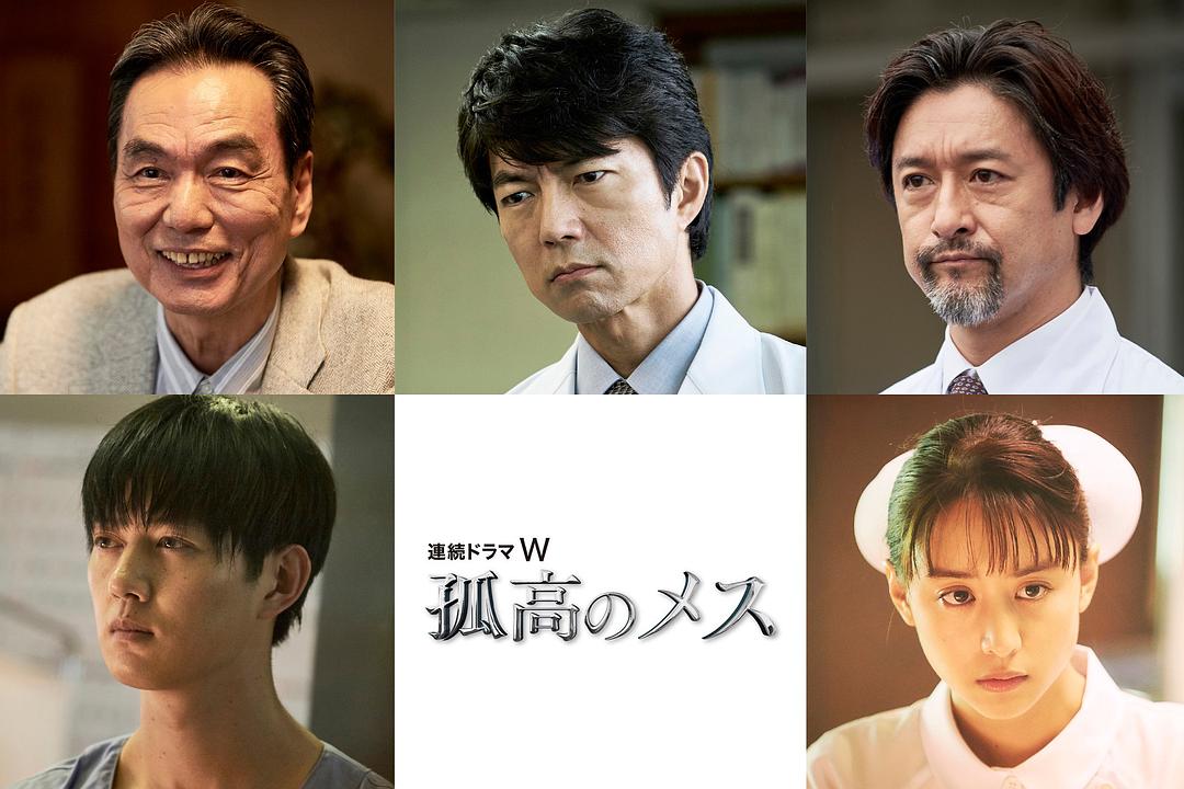 《孤高的手术刀》海报第25张图片