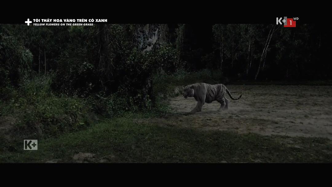 《绿地黄花》海报第53张图片