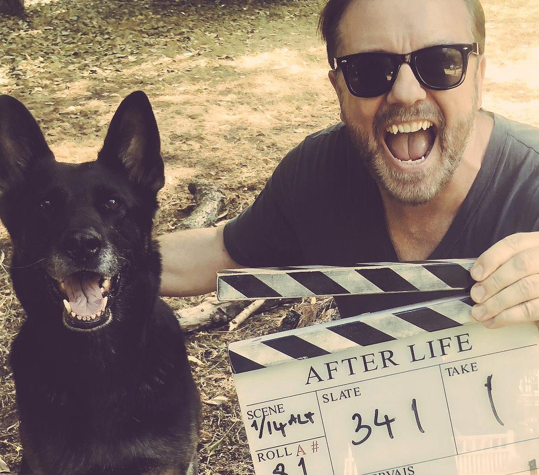 《后半生第一季》海报第28张图片