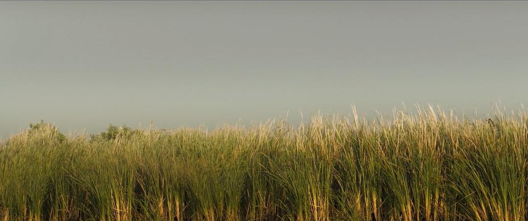 《驭风男孩》海报第34张图片