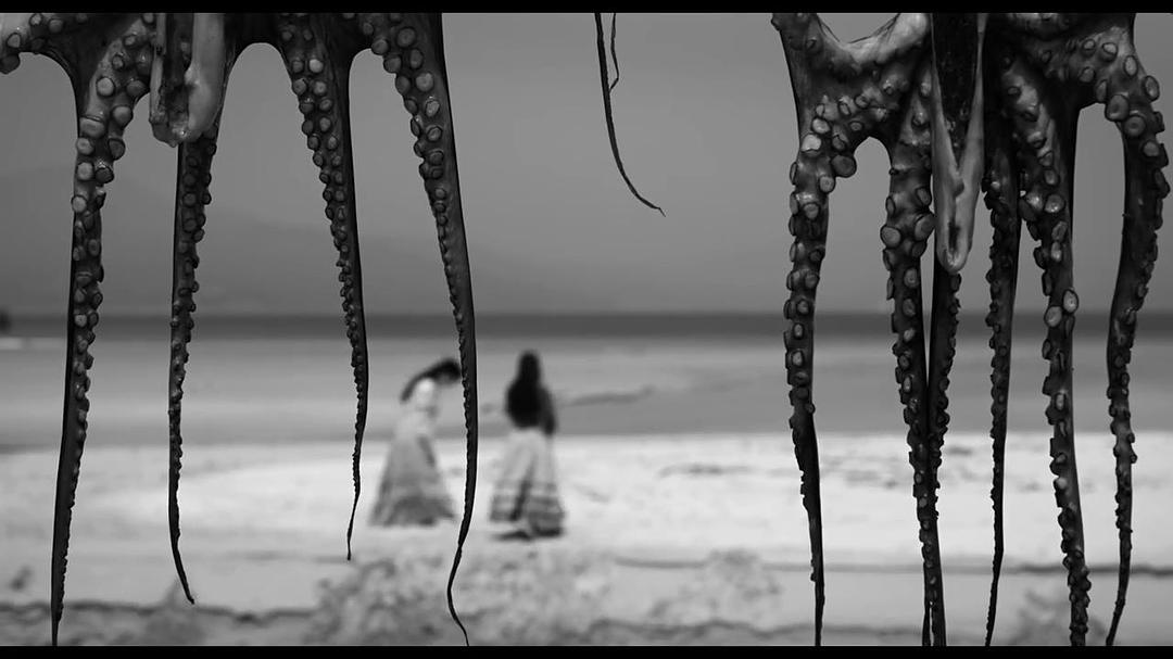 《伊莉莎与玛瑟拉》海报第16张图片