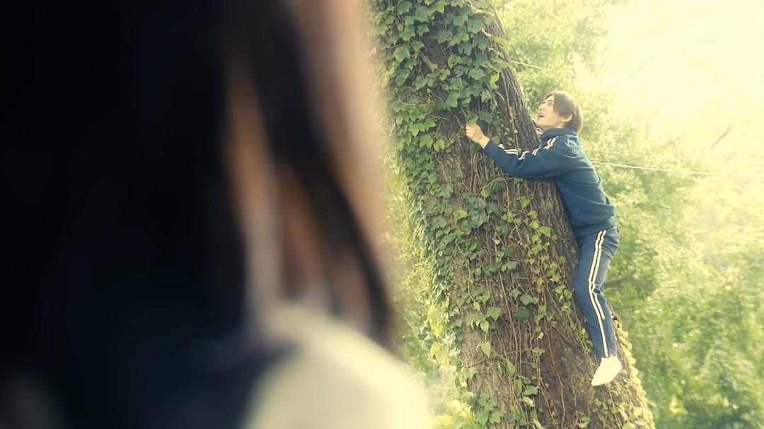 《蝉男》剧照第26张图片