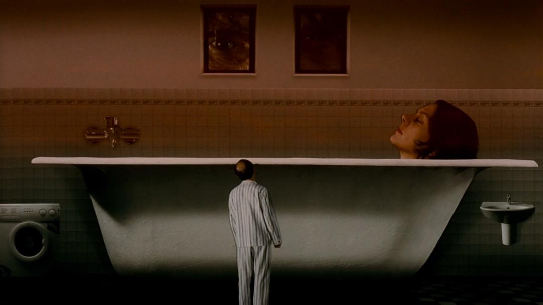 《幸存的生命（理论与实践）》剧照第14张图片