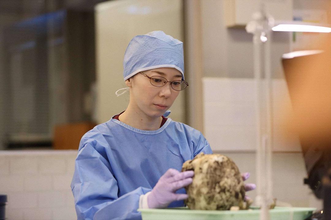 《法医朝颜》海报第57张图片