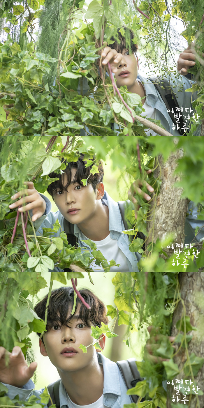 《偶然发现的一天》海报第32张图片