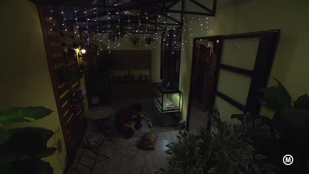 《好日子》海报第13张图片