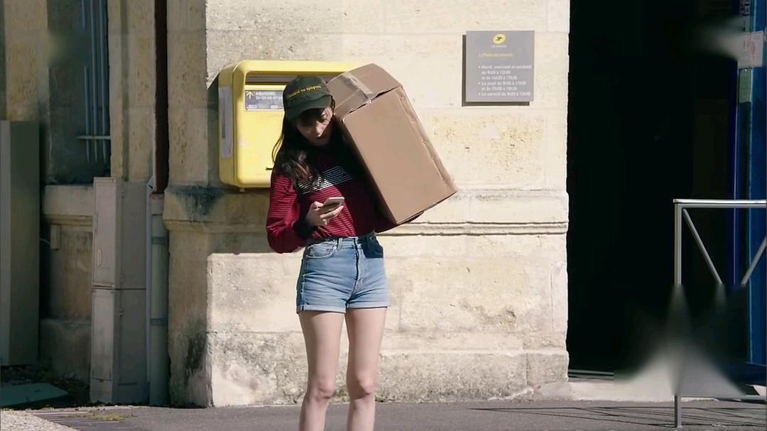 《鳄鱼与牙签鸟》海报第42张图片