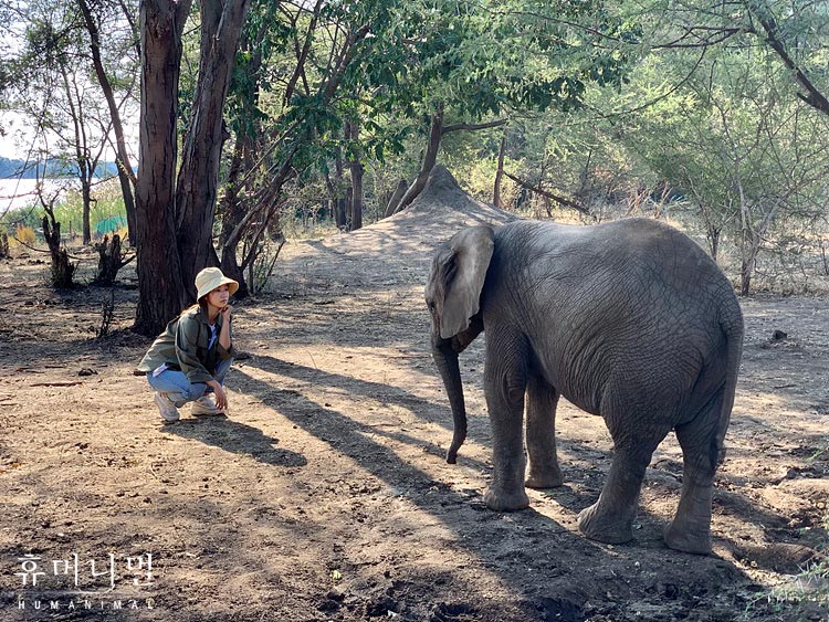 《人类-动物》剧照第42张图片