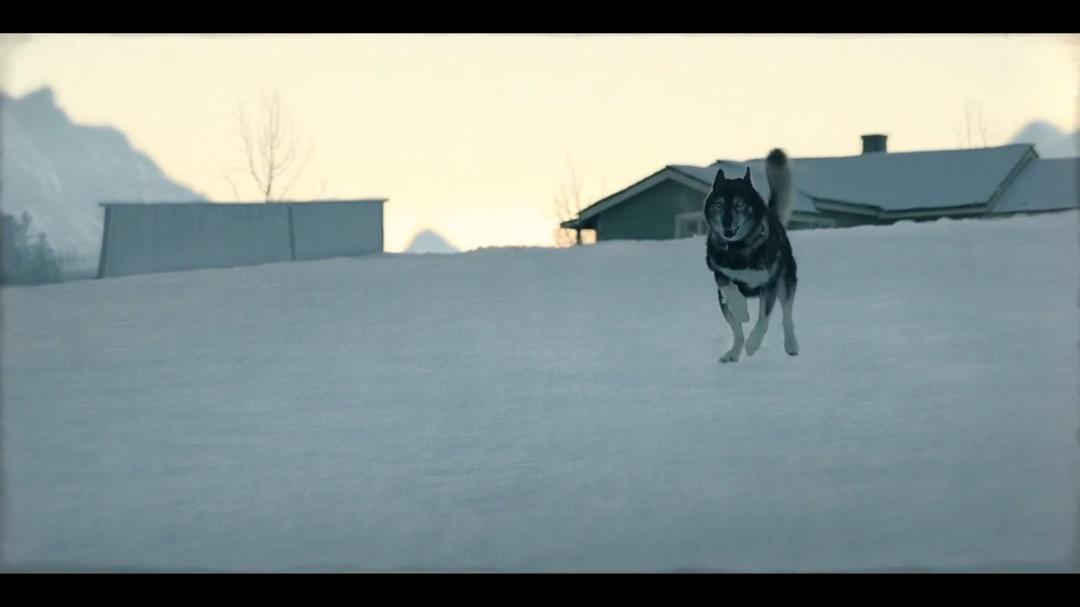 《多哥》剧照第28张图片