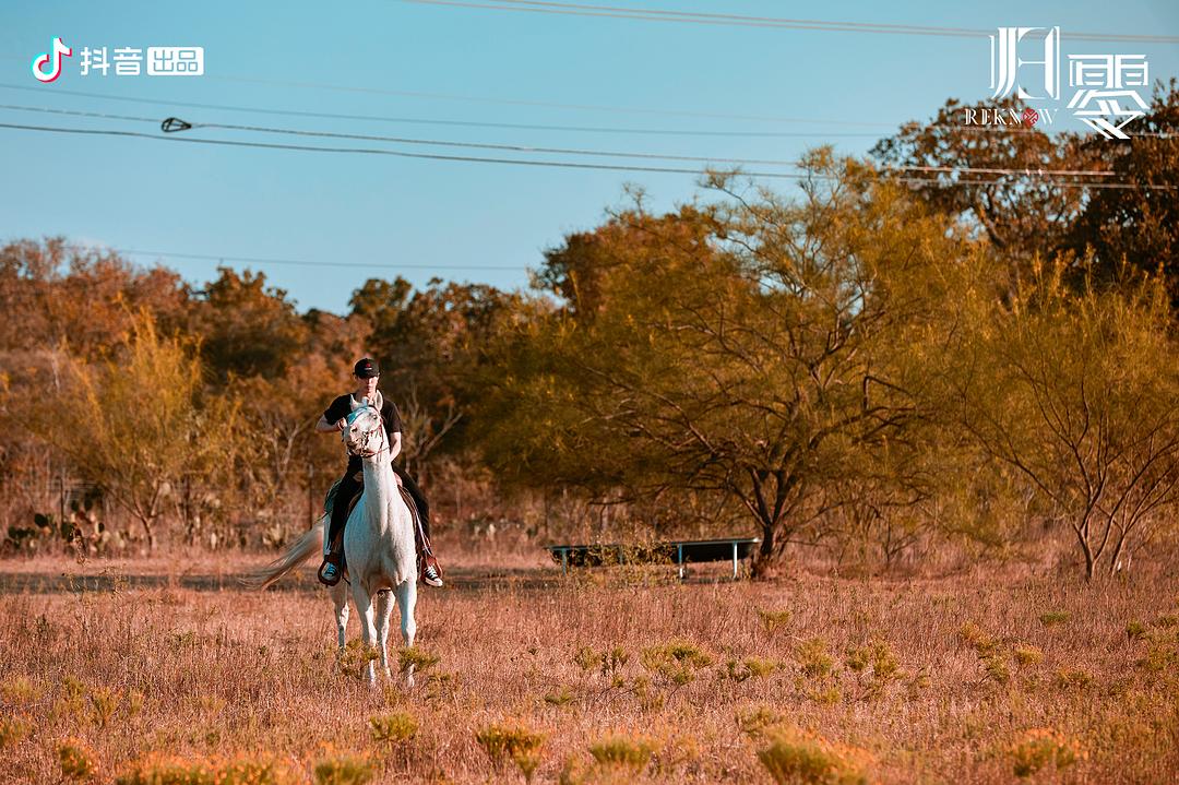 《归零》海报第57张图片