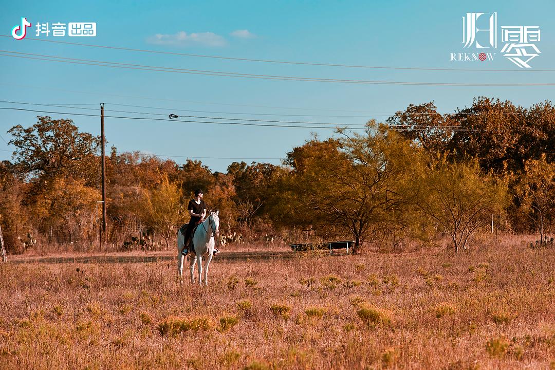 《归零》海报第54张图片