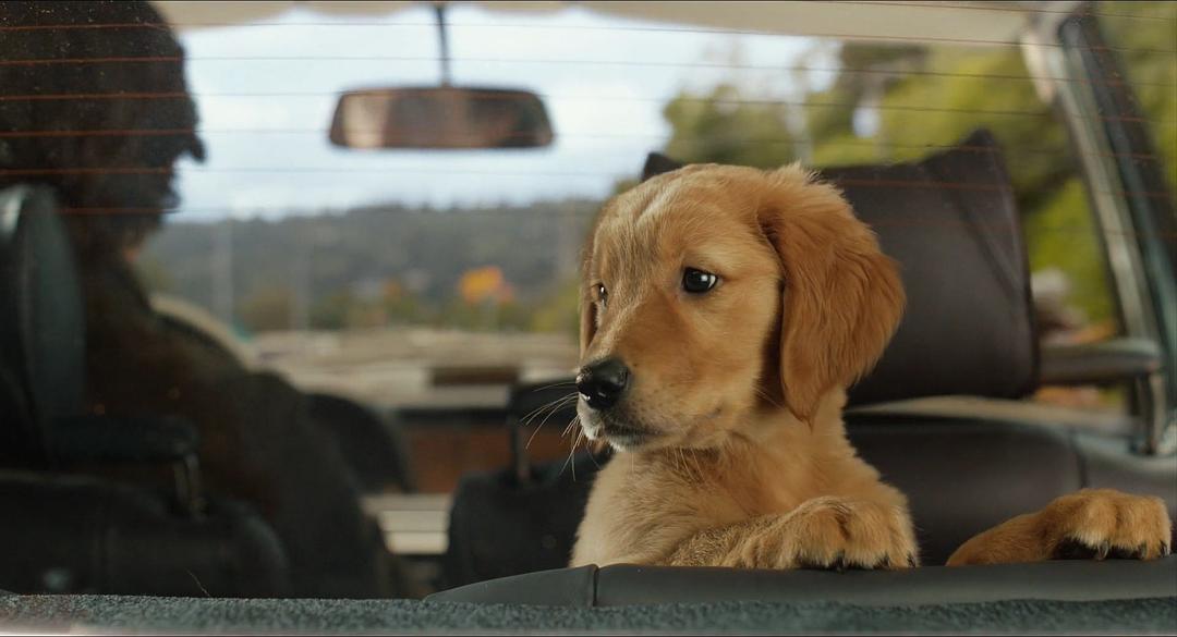 《我在雨中等你》海报第26张图片