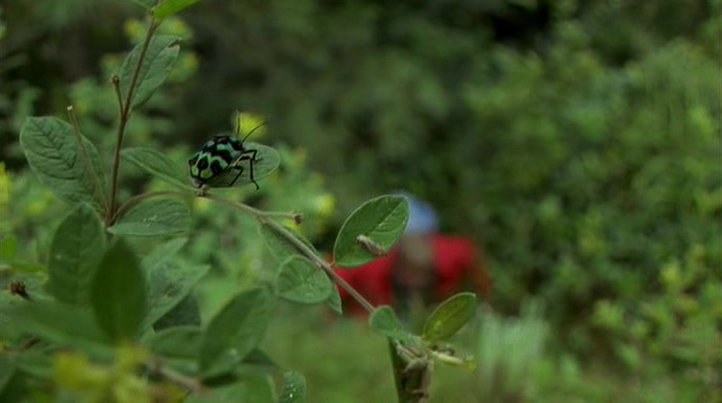 《地球的故事》海报第14张图片