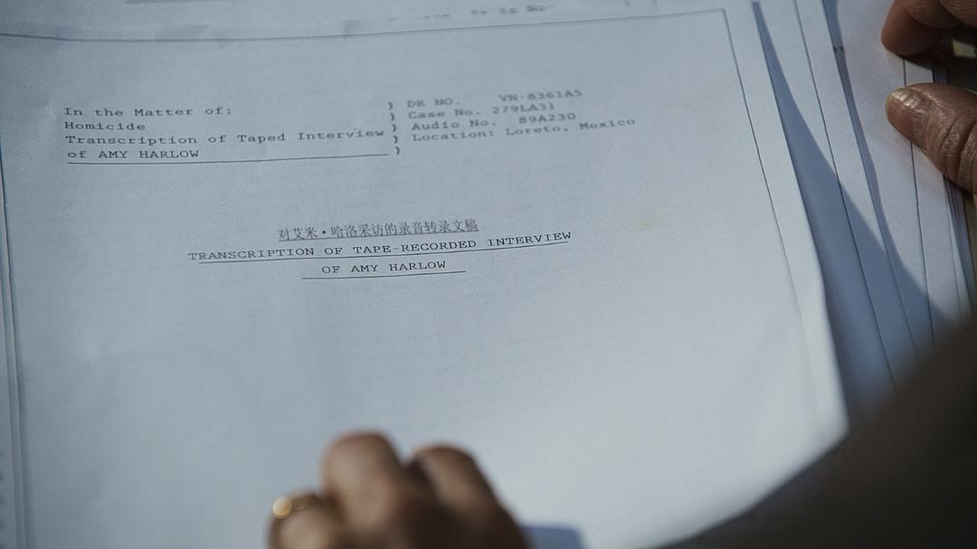 《审讯》海报第44张图片