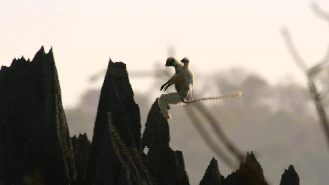 《全球绝美国家公园》剧照第28张图片