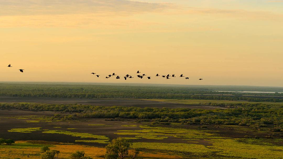 《全球绝美国家公园》剧照第6张图片