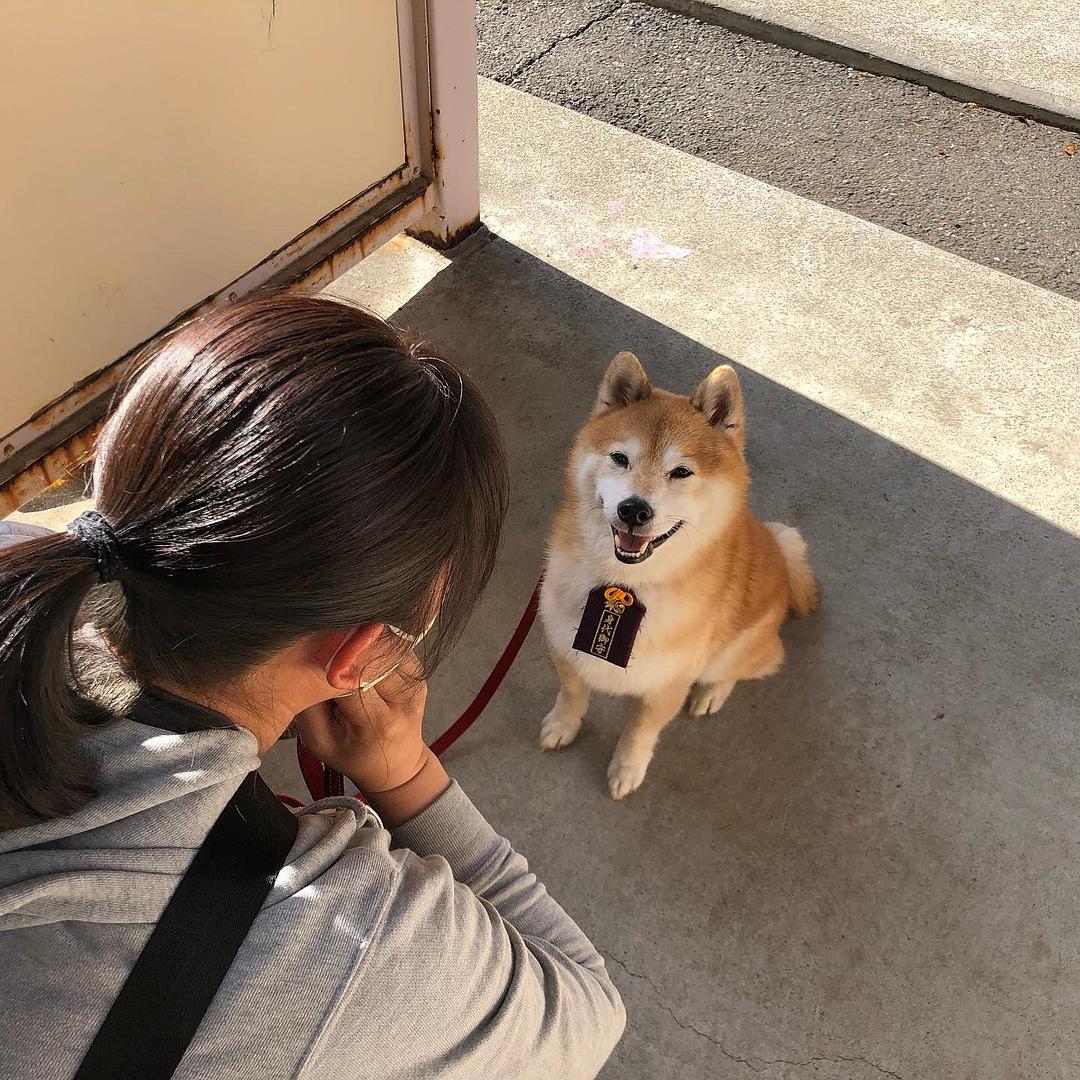 《难破MG5》剧照第46张图片