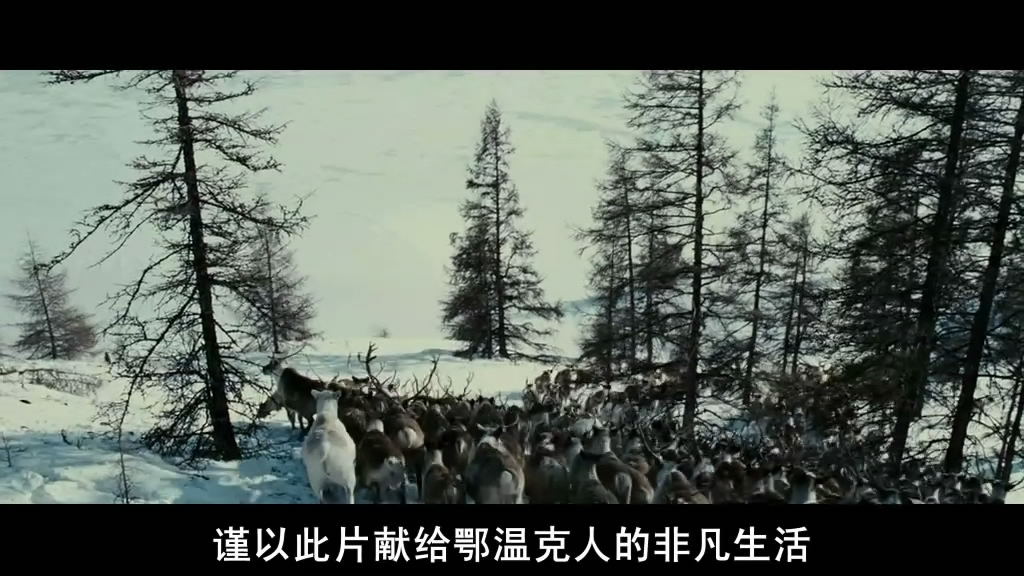 《狼》海报第53张图片